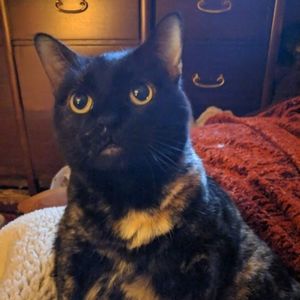 Meet your Posher, Wendy